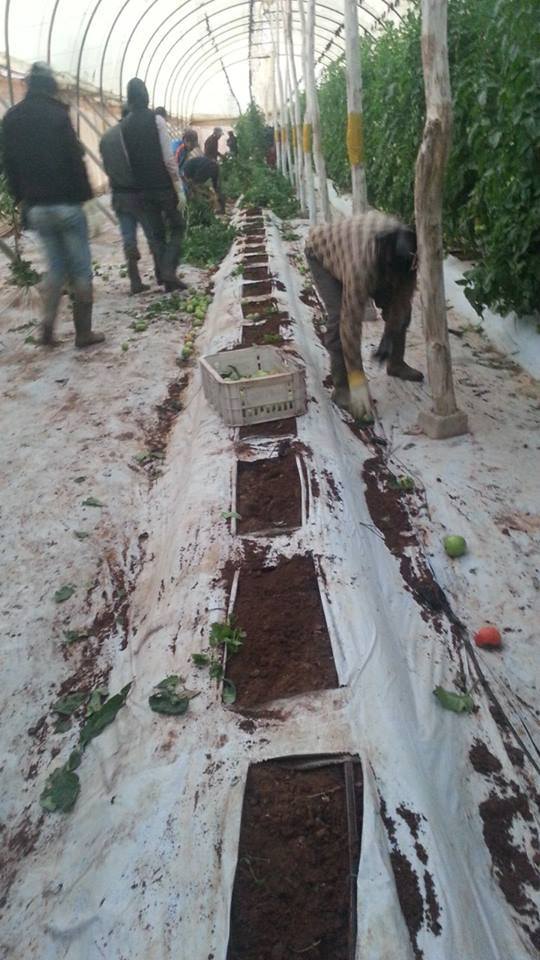 26197394_1748292651909602_707711682_n