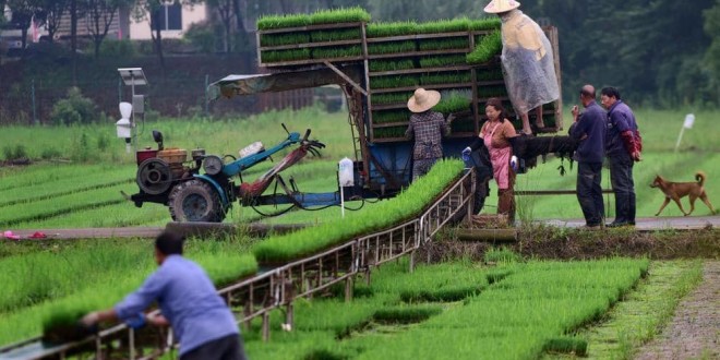 زاد مؤشر فاو لأسعار الحبوب 1.4 في المئة.