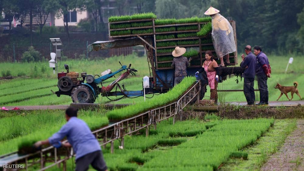 زاد مؤشر فاو لأسعار الحبوب 1.4 في المئة.