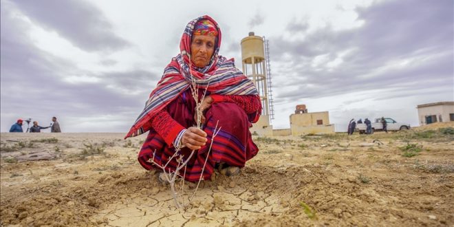 تونس.. الجفاف يهدد حياة الشجر والبشر